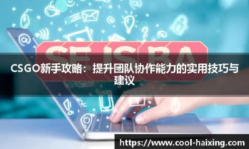 海星体育直播APP